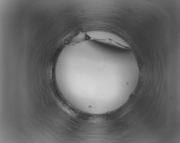 X0000080810454200701122245