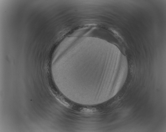 X0000080810455200701122245