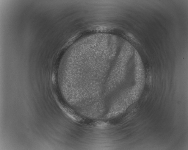 X0000080810456200701122245