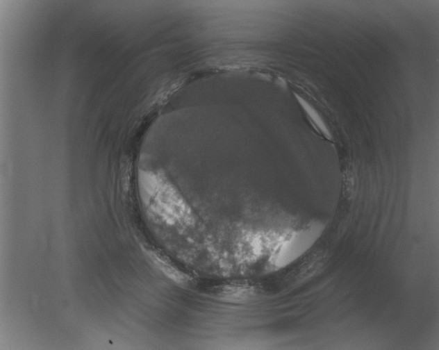 X0000080810458200701122245