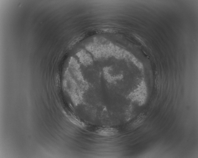 X0000080810459200701122245