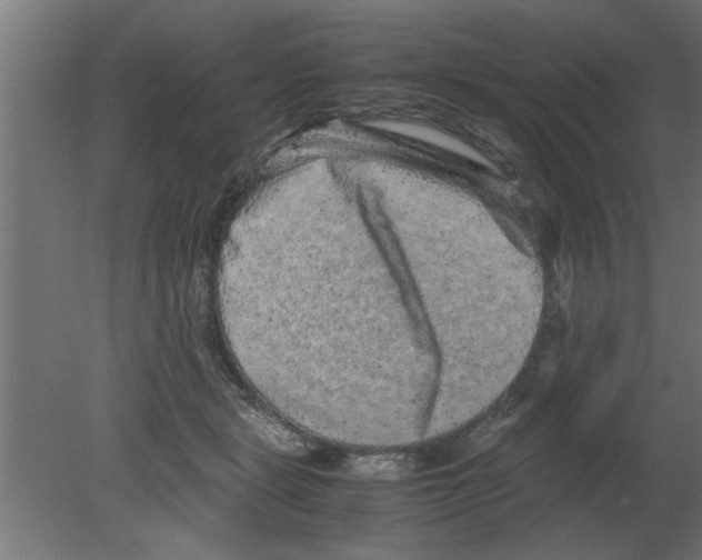 X0000080810461200701122245