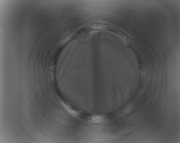 X0000080810462200701122245