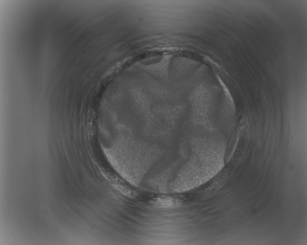 X0000080810464200701122245