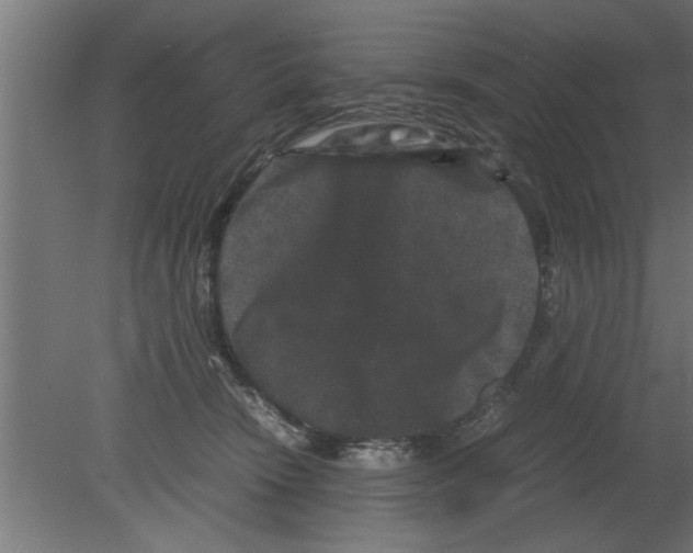 X0000080810466200701122245