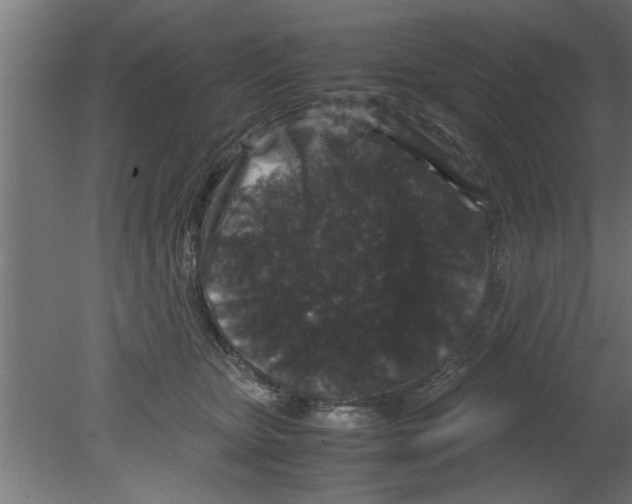 X0000080810467200701122245