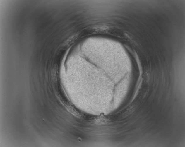 X0000080810468200701122245