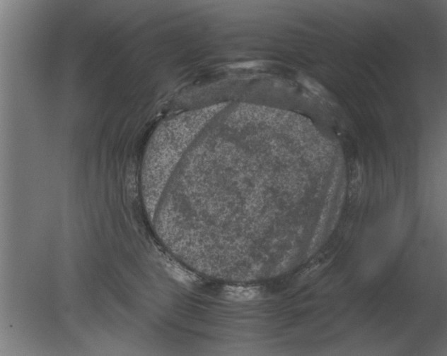 X0000080810469200701122245