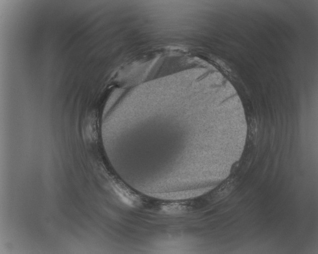 X0000080810470200701122245