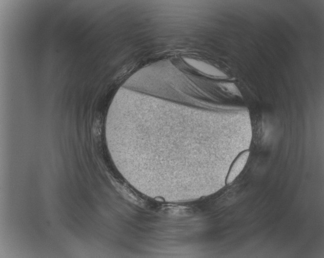 X0000080810472200701122245