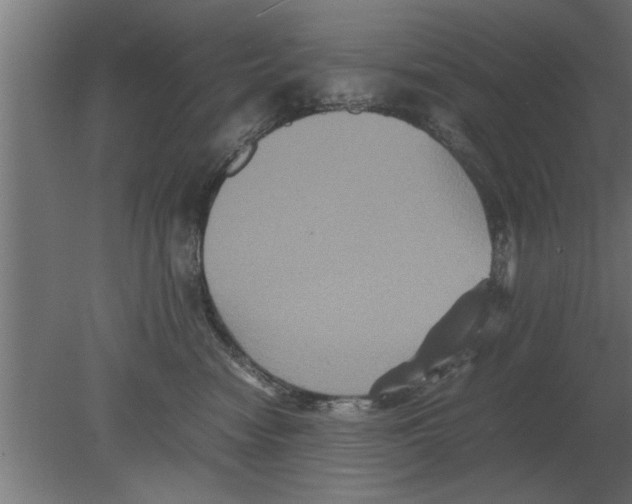 X0000080810474200701122245