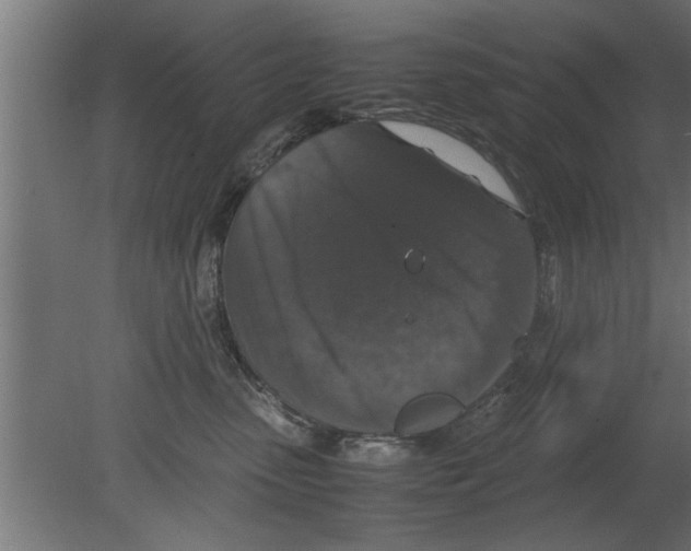 X0000080810475200701122245