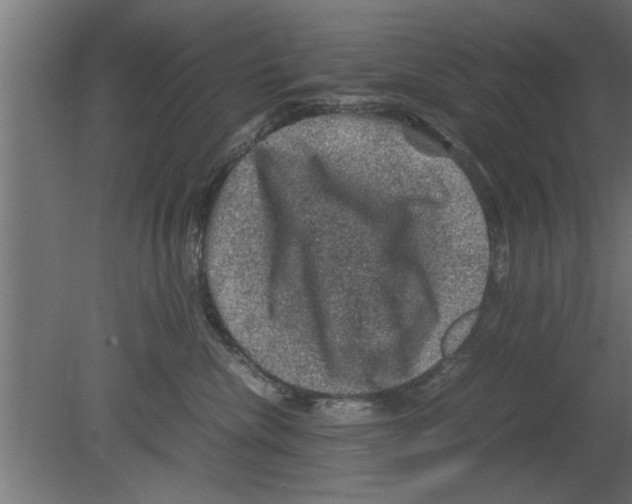 X0000080810476200701122245