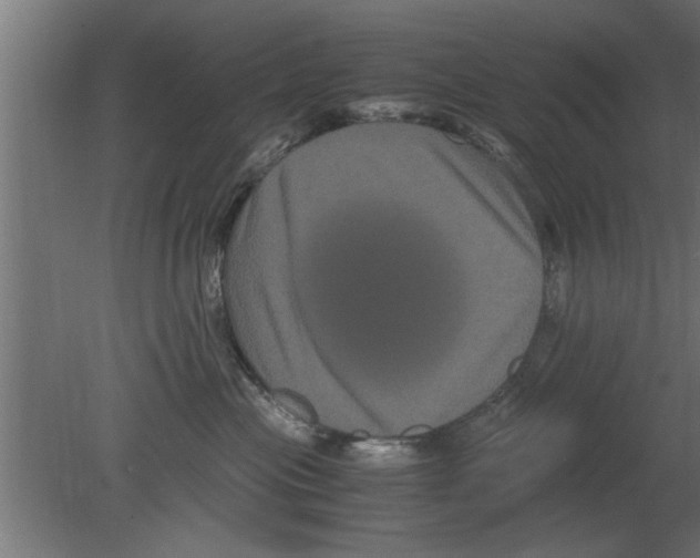 X0000080810477200701122245