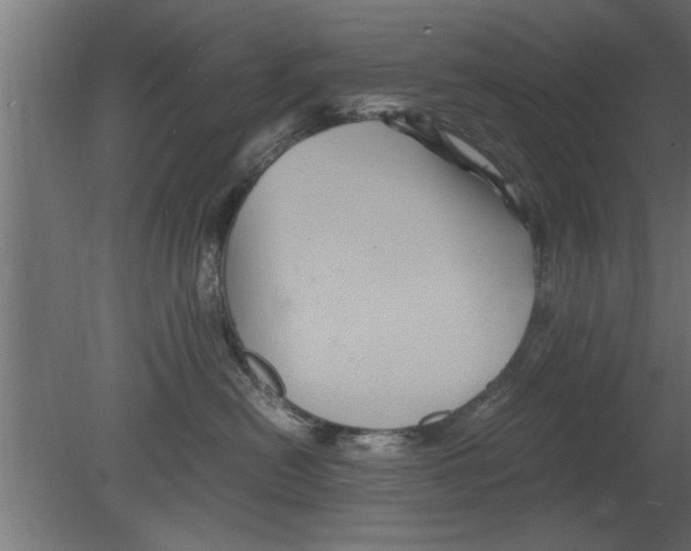 X0000080810478200701122245