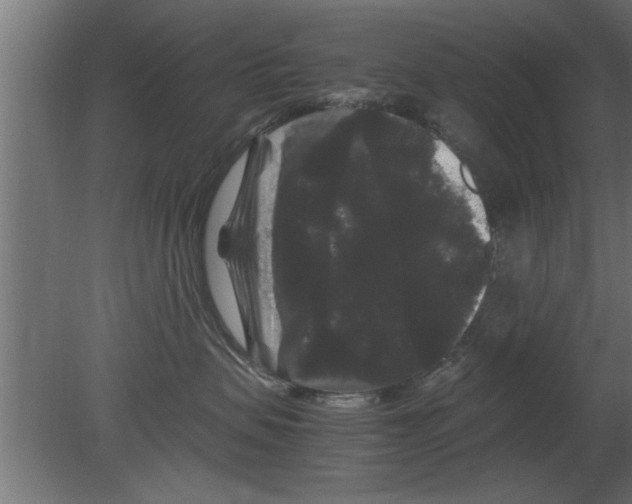 X0000080810479200701122245