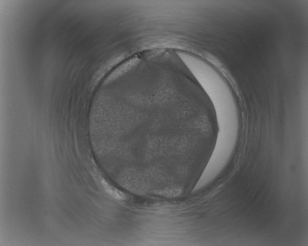 X0000080810481200701122245