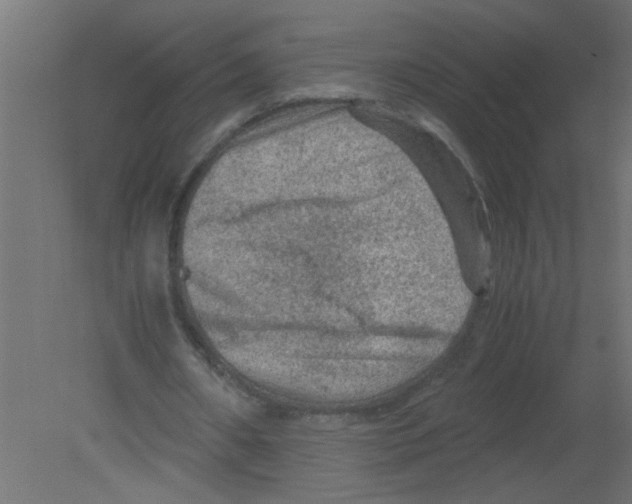 X0000080810482200701122245