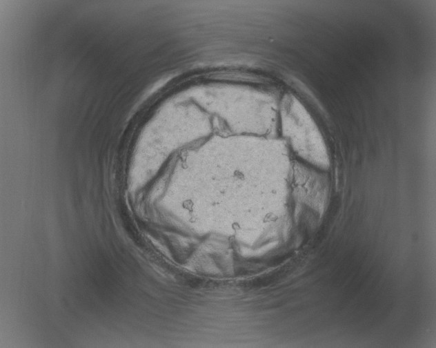 X0000080810483200701122245