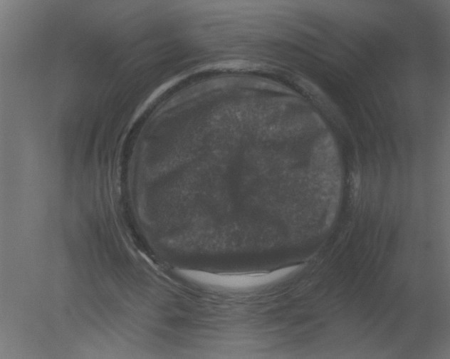 X0000080810484200701122245