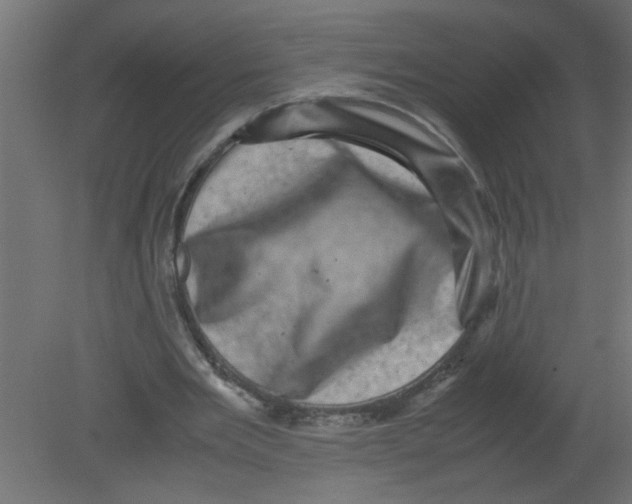 X0000080810485200701122245