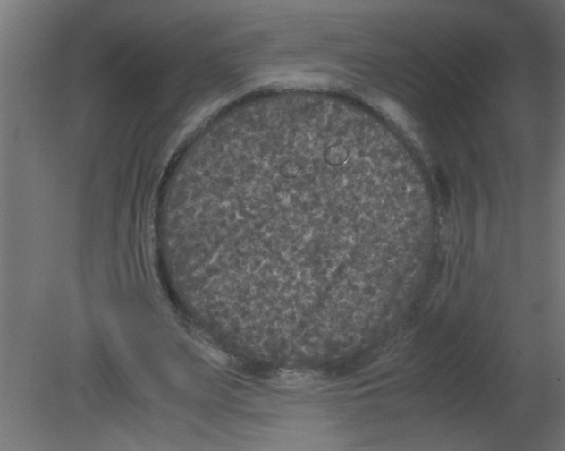 X0000080810487200701122245