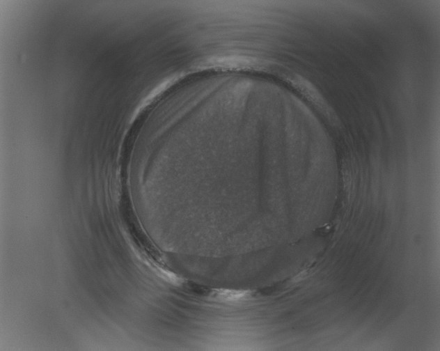 X0000080810488200701122245