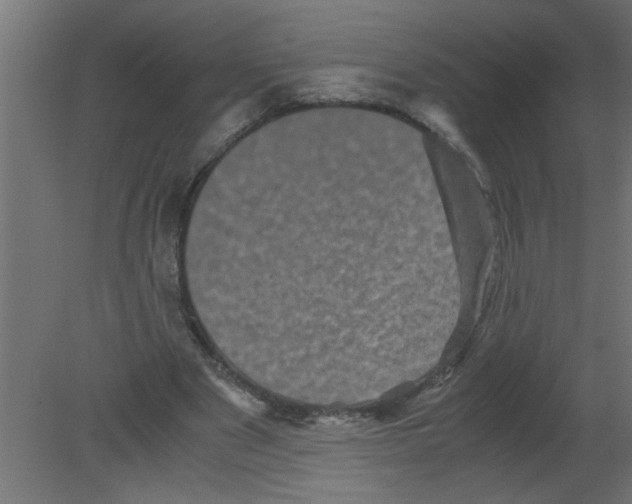 X0000080810489200701122245