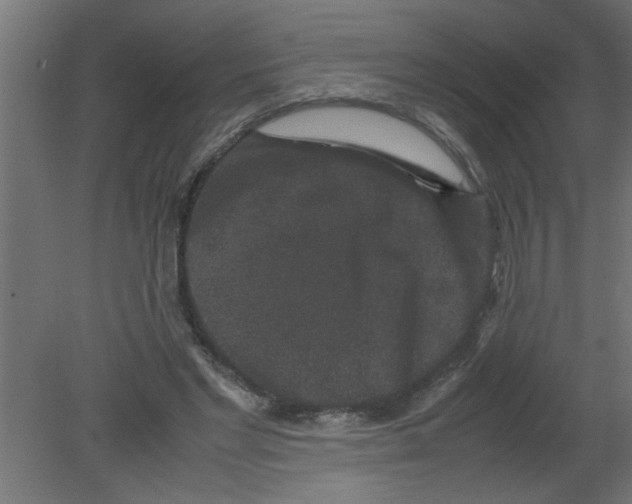 X0000080810493200701122244