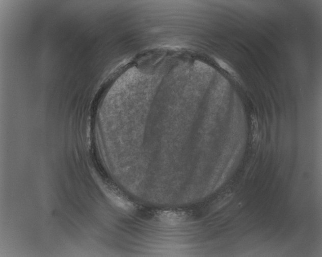 X0000080810494200701122244