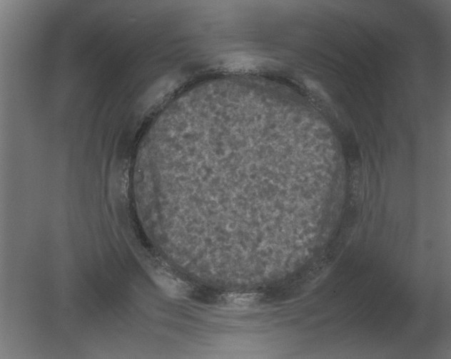 X0000080810495200701122244