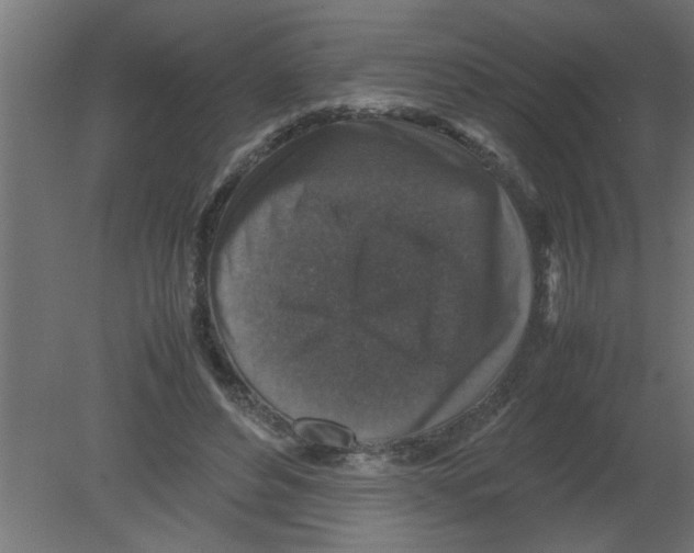 X0000080810496200701122244