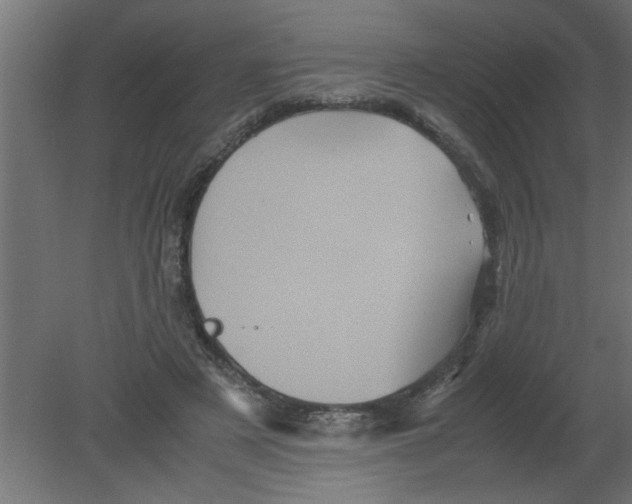 X0000080810497200701122244