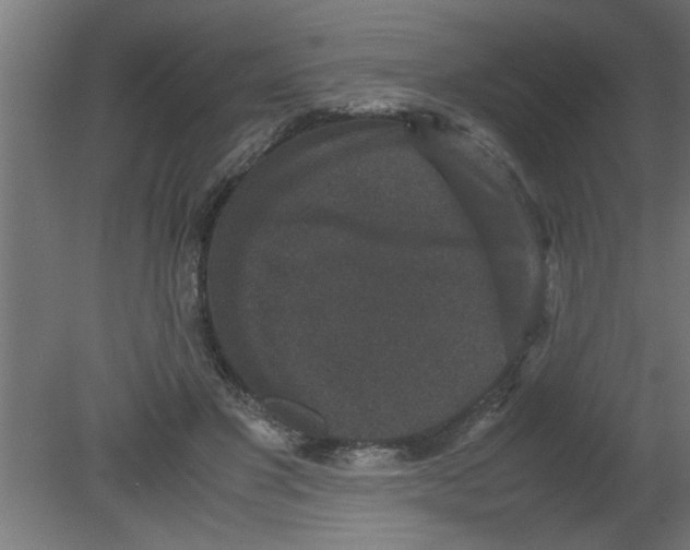 X0000080810501200701122244