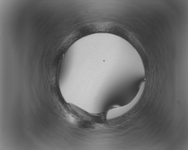 X0000080810505200701122244