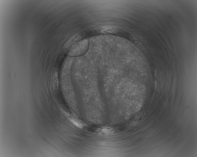 X0000080810506200701122244