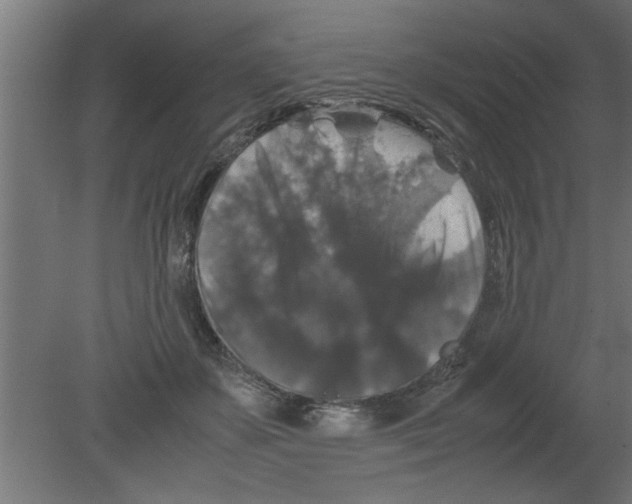 X0000080810507200701122244