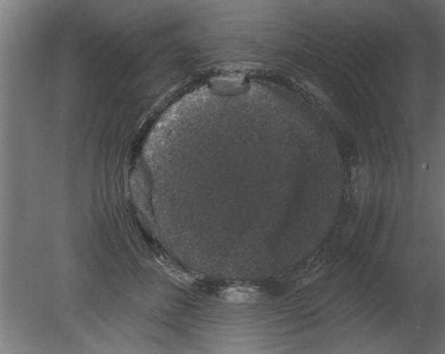 X0000080810508200701122244