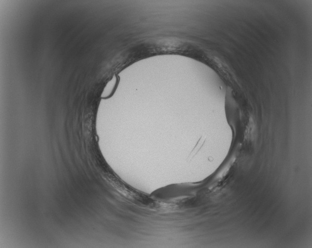 X0000080810509200701122244