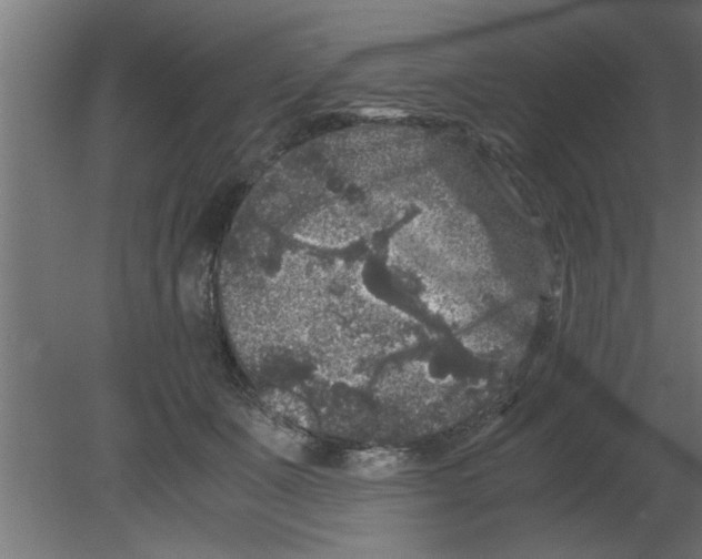 X0000080810511200701122244