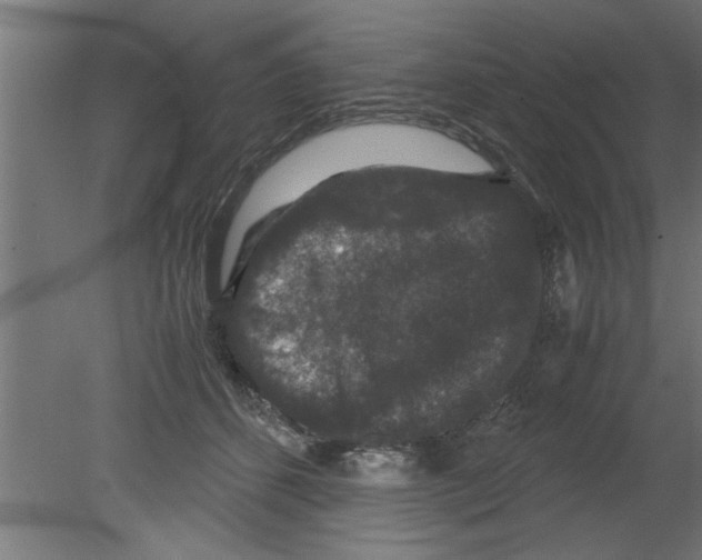 X0000080810512200701122244