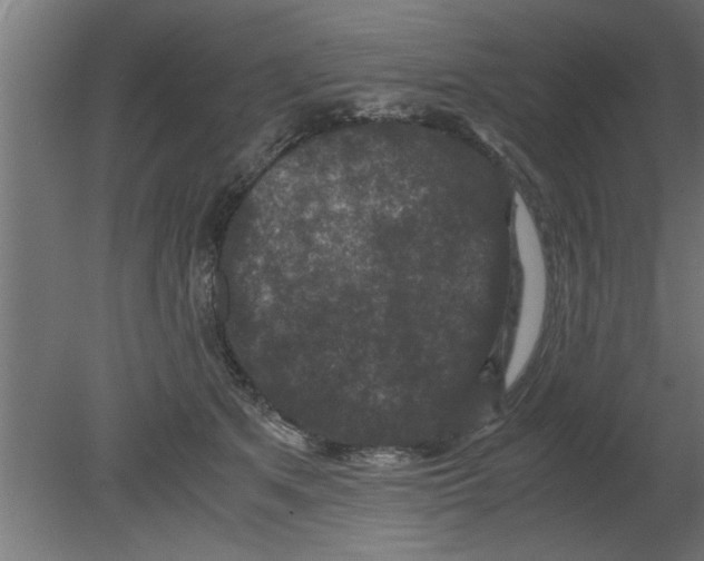 X0000080810513200701122244