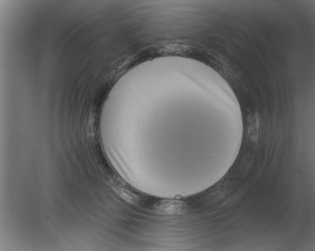 X0000080810514200701122244