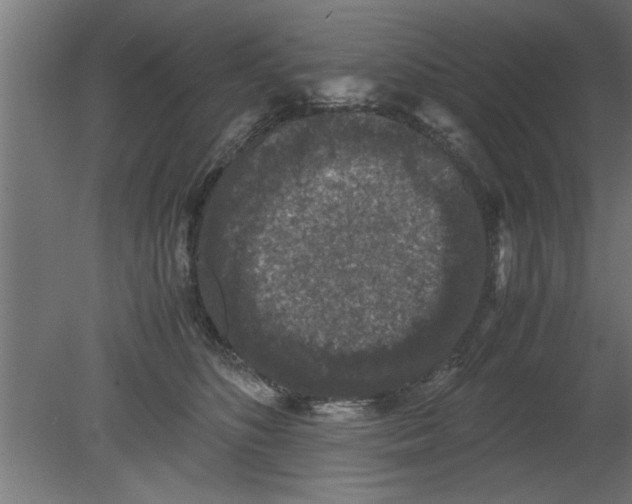 X0000080810516200701122244