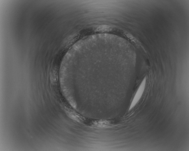 X0000080810517200701122244