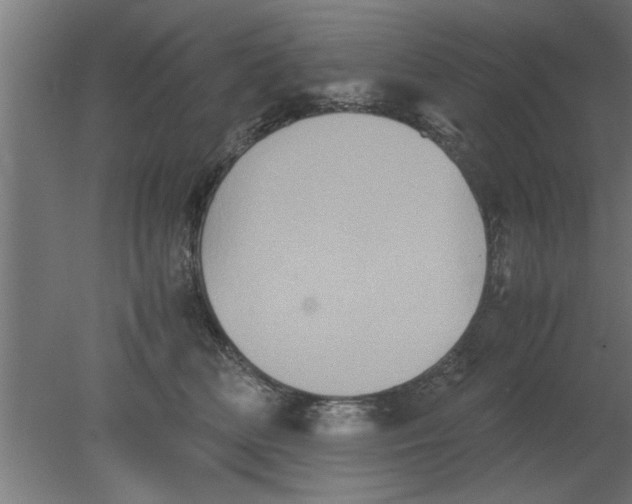 X0000080810518200701122244