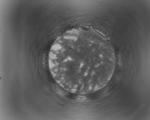 X0000080810519200701122244