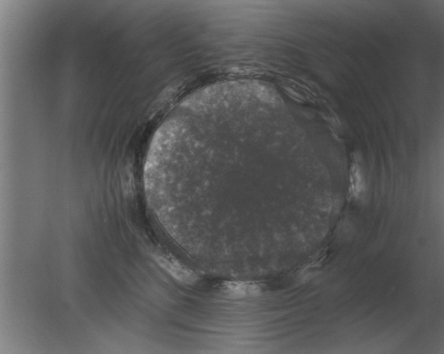 X0000080810520200701122244