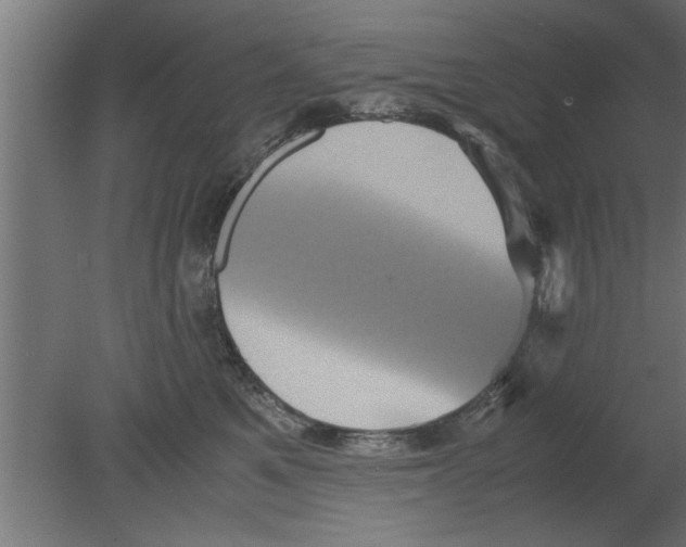 X0000080810521200701122244