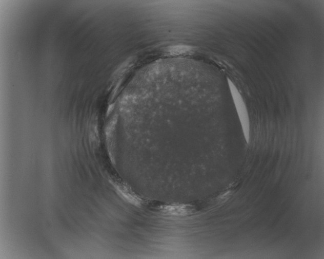 X0000080810524200701122244